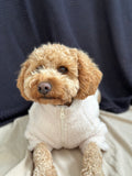 Sherpa Dog Jacket in Cloud