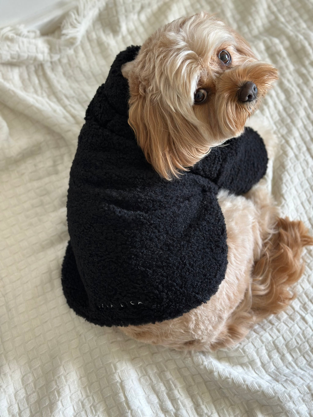 Sherpa Dog Jacket in Black
