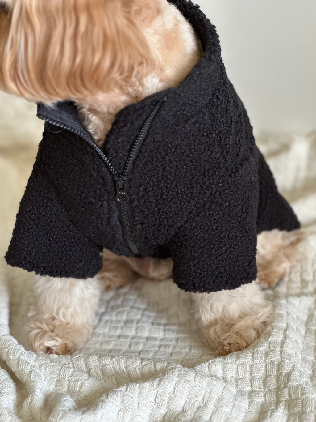 Sherpa Dog Jacket in Black